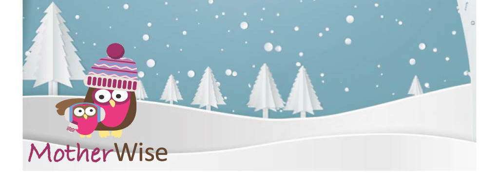 2026 Winter Wonderland Holiday Reunion Sponsorship